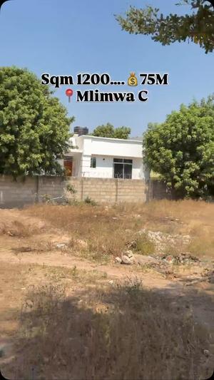 Kiwanja kinauzwa Mlimwa C, Dodoma sqm 1200 Kiwanja kinauzwa Mlimwa C, Dodoma sqm 1200