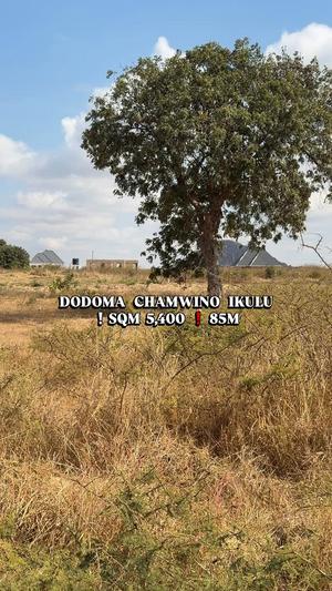 Kiwanja kinauzwa Chamwino Ikulu, Dodoma sqm 4103 Kiwanja kinauzwa Chamwino Ikulu, Dodoma sqm 4103