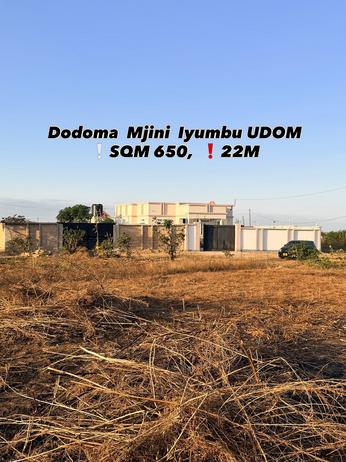 Kiwanja kinauzwa Iyumbu, Dodoma sqm 650 Kiwanja kinauzwa Iyumbu, Dodoma sqm 650