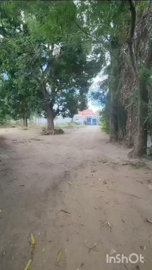 Residential Plot for Sale in Mongolandege, Dar Es Salaam (1000 sqm) Residential Plot for Sale in Mongolandege, Dar Es Salaam (1000 sqm)