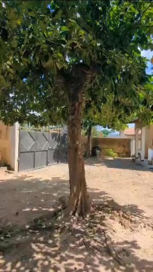 Nyumba ya vyumba vitatu inapangishwa Kimara Suka, Dar Es Salaam Nyumba ya vyumba vitatu inapangishwa Kimara Suka, Dar Es Salaam