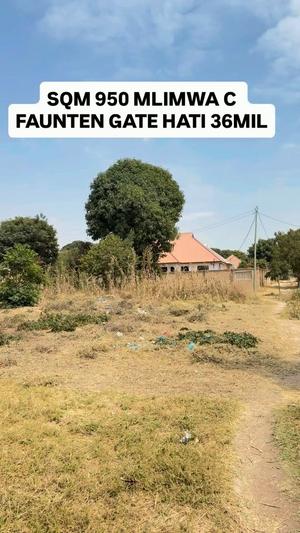 Kiwanja kinauzwa Mlimwa C, Dodoma (950 sqm) Kiwanja kinauzwa Mlimwa C, Dodoma (950 sqm)