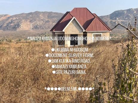 Kiwanja kinauzwa Udom Nghonghonha Ndwene, Dodoma (600 sqm) Kiwanja kinauzwa Udom Nghonghonha Ndwene, Dodoma (600 sqm)