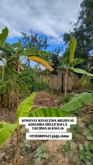 Residential Plot for Sale in Kibamba Shule, Dar Es Salaam Residential Plot for Sale in Kibamba Shule, Dar Es Salaam