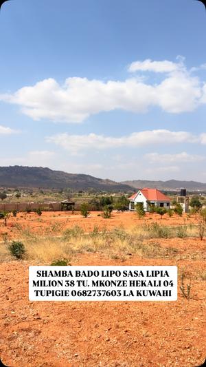 Shamba linauzwa Mkonze Senta, Dodoma (4 acre)