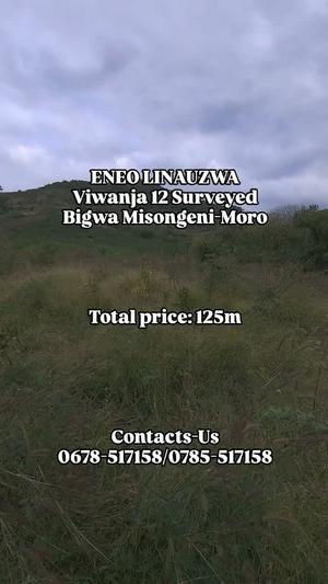 Residential/Commercial Plots for Sale in Bigwa Misongeni, Morogoro