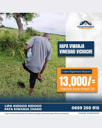 Residential Plots for Sale in Buyuni, Dar Es Salaam