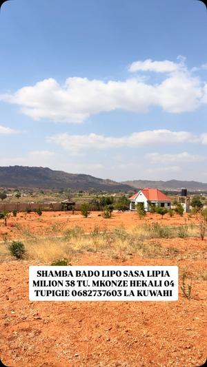 Shamba linauzwa Mkonze Senta, Dodoma (4 acre) Shamba linauzwa Mkonze Senta, Dodoma (4 acre)