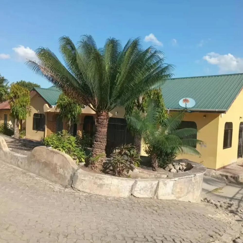 media -8 media -8