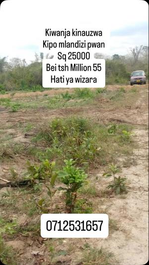 Kiwanja kinauzwa Mlandizi, Pwani sqm 25000