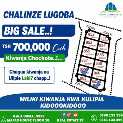 Viwanja vinauzwa Chalinze Lugoba, Pwani Viwanja vinauzwa Chalinze Lugoba, Pwani