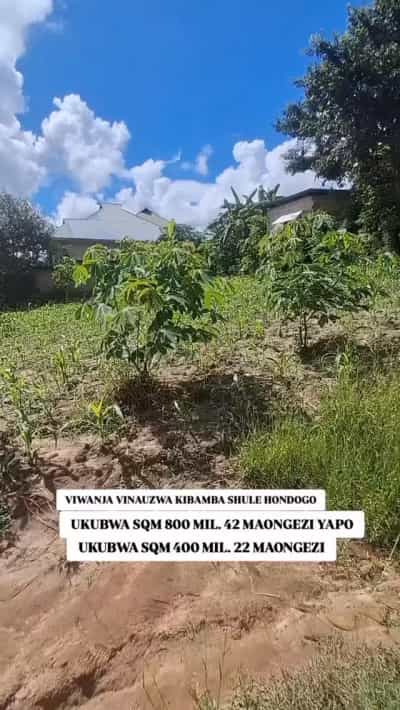 Kiwanja kinauzwa Kibamba Shule, Dar Es Salaam (800 sqm)