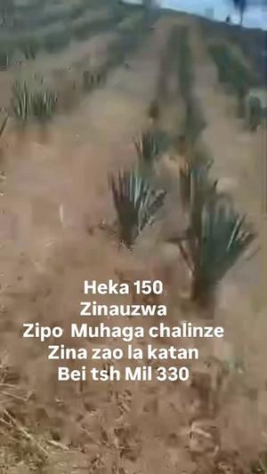 Shamba linauzwa Mihuga, Miono, Pwani (150 acre)