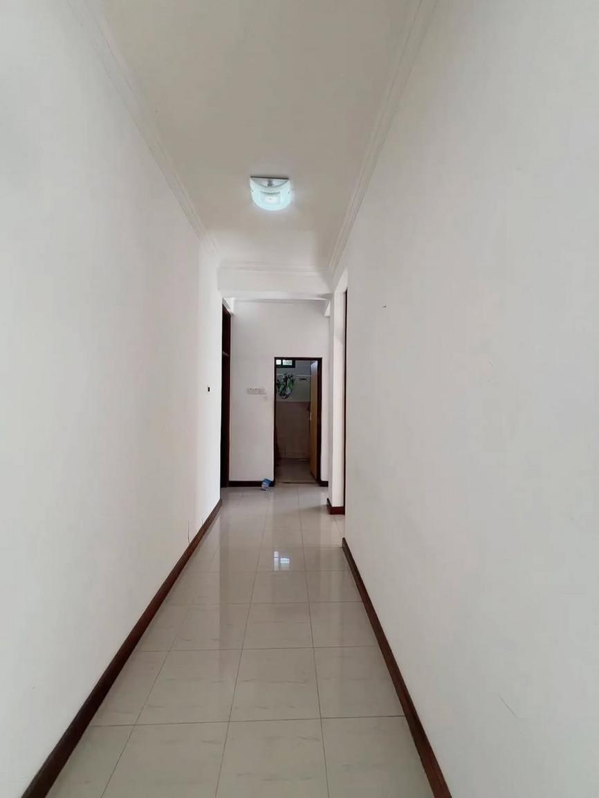 media -8 media -8