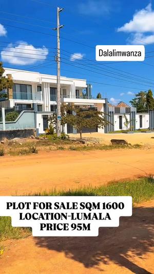 Kiwanja kinauzwa Lumala, Mwanza sqm 1600 Kiwanja kinauzwa Lumala, Mwanza sqm 1600