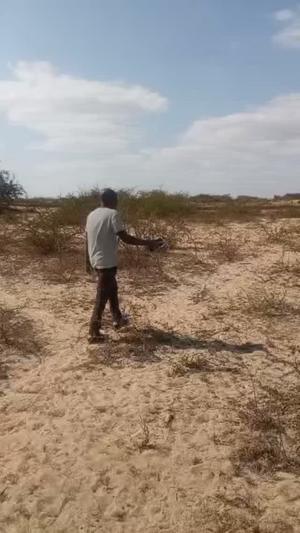 Residential Plot for Sale in Mtumba, Dodoma (700 sqm) Residential Plot for Sale in Mtumba, Dodoma (700 sqm)