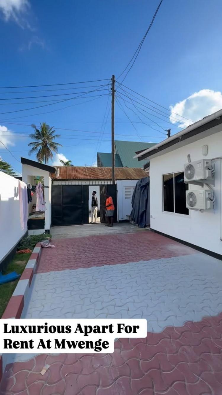 video thumbnail video thumbnail