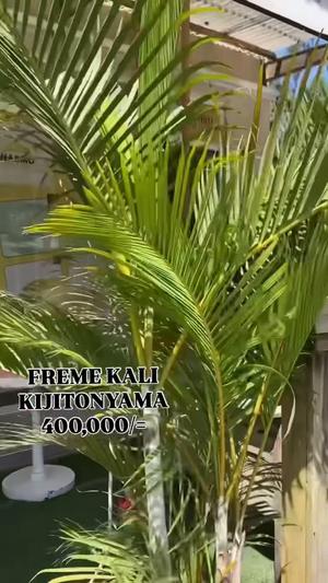 Frame ya Biashara inapangishwa Kijitonyama, Dar Es Salaam