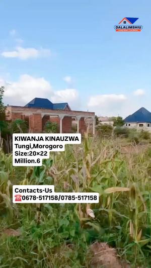Kiwanja kinauzwa Tungi, Morogoro (440 sqm) Kiwanja kinauzwa Tungi, Morogoro (440 sqm)