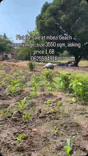 Kiwanja kinauzwa Mbezi Beach Mamunyange, Dar Es Salaam sqm 3550 Kiwanja kinauzwa Mbezi Beach Mamunyange, Dar Es Salaam sqm 3550