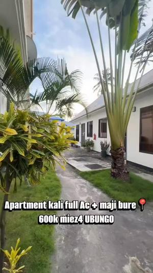 1 Bedroom Apartment for Rent in Ubungo Kibo, Dar Es Salaam