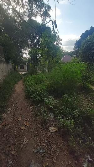 Plot for sale in Ubungo Makoka, Dar Es Salaam sqm 500 Plot for sale in Ubungo Makoka, Dar Es Salaam sqm 500
