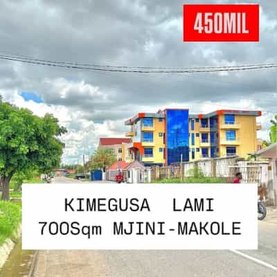 Plot for sale in Makole, Dodoma