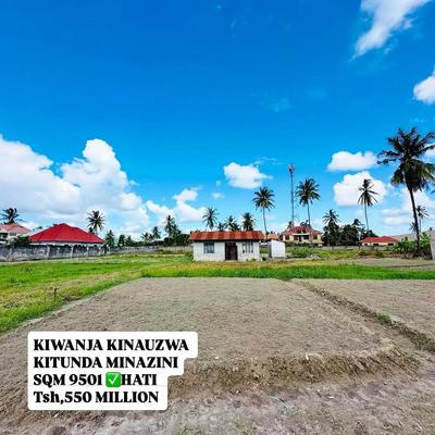 Kiwanja kinauzwa Kitunda Minazini, Dar Es Salaam sqm 9501 Kiwanja kinauzwa Kitunda Minazini, Dar Es Salaam sqm 9501