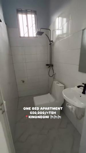 Apartment ya chumba kimoja inapangishwa Kinondoni Hananasifu, Dar Es Salaam Apartment ya chumba kimoja inapangishwa Kinondoni Hananasifu, Dar Es Salaam