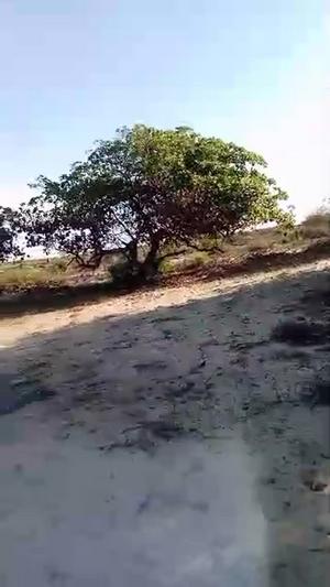 Beach Plots zinazouzwa Bagamoyo, Pwani (78 acre)