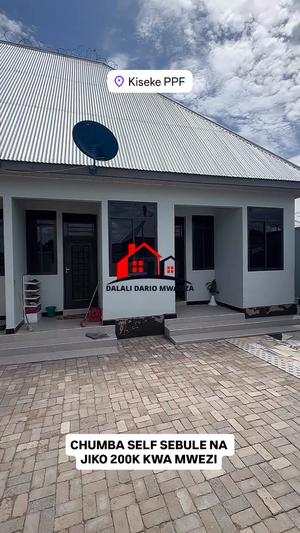 1 Bedroom House for Rent in Mwanza 1 Bedroom House for Rent in Mwanza