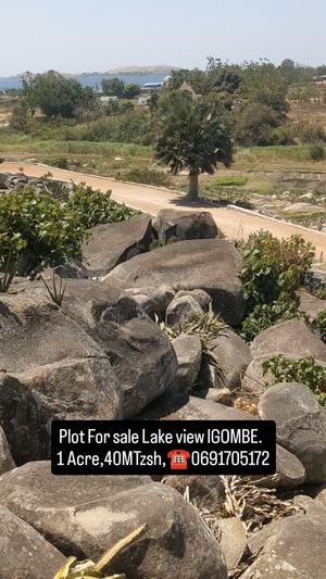 Beach Plot kinauzwa Igombe, Mwanza (1 acre)
