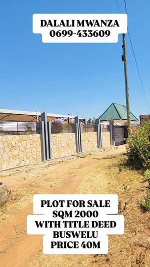 Plot for sale in Mwanza sqm 2000 Plot for sale in Mwanza sqm 2000