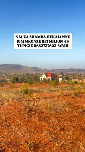 Shamba linauzwa Mkonze, Dodoma (4 acre) Shamba linauzwa Mkonze, Dodoma (4 acre)
