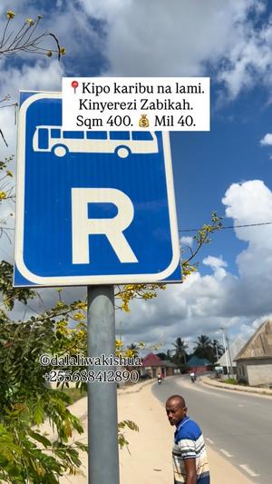 Kiwanja kinauzwa Kinyerezi Zabikah, Dar Es Salaam (400 sqm)