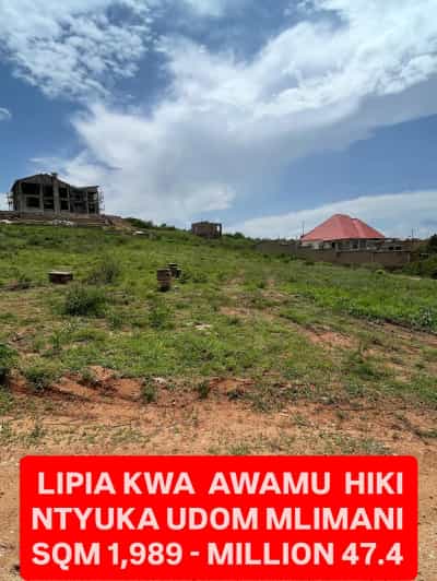 Kiwanja kinauzwa Ntyuka Mlimani, Dodoma (1989 sqm)