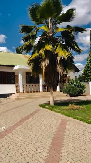 3 Bedrooms House for Rent in Area D, Dodoma 3 Bedrooms House for Rent in Area D, Dodoma