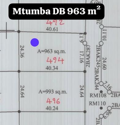 Kiwanja kinauzwa Mtumba Mji Wa Serikali, Dodoma (963 sqm)