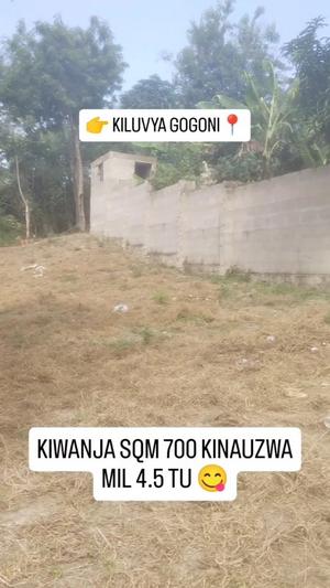 Kiwanja kinauzwa Kiluvya Gogoni, Pwani sqm 700 Kiwanja kinauzwa Kiluvya Gogoni, Pwani sqm 700