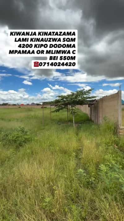 Kiwanja (Commercial Plot) kinauzwa Mlimwa C Mpamaa, Dodoma (4200 sqm)