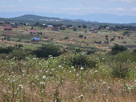 Plot for sale in Nghonghonha, Mhande, Ntyuka, Dodoma sqm 10000