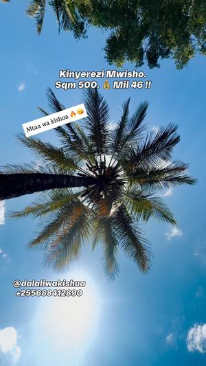 Residential Plot for Sale in Kinyerezi Mwisho, Dar Es Salaam (500 sqm) Residential Plot for Sale in Kinyerezi Mwisho, Dar Es Salaam (500 sqm)