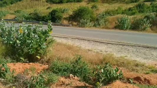 Kituo cha Mafuta kinauzwa Matumbulu, Dodoma (8880 sqm)