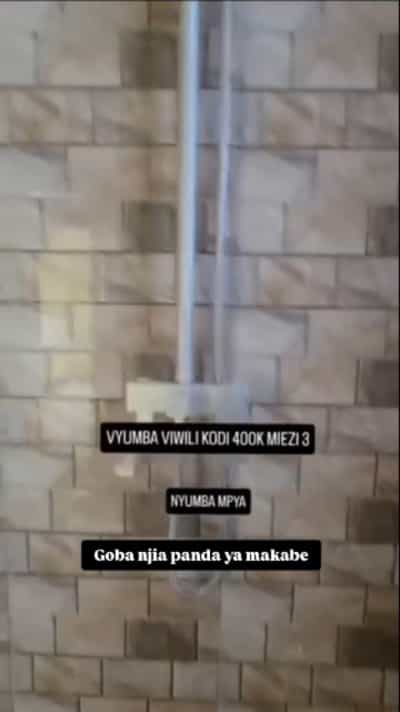 2 Bedrooms Apartment for Rent in Goba Njia Panda Ya Makabe, Dar Es Salaam