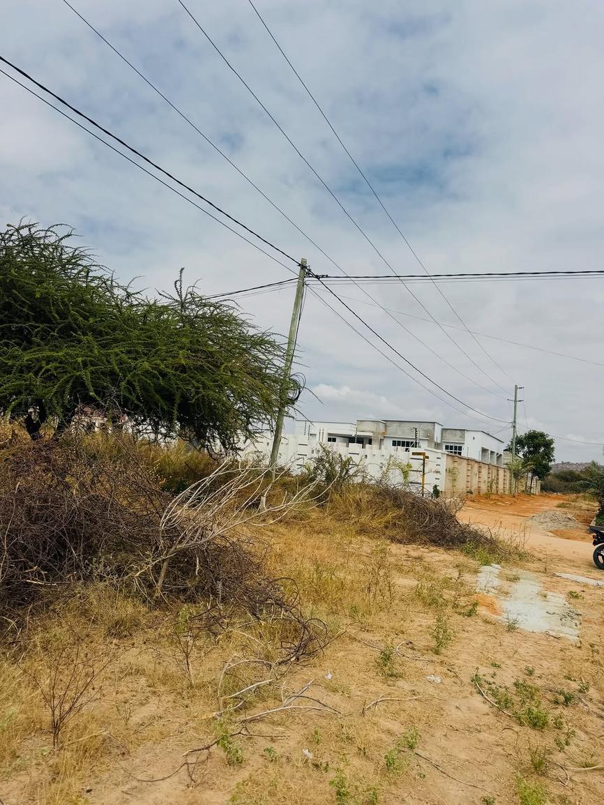 media -7 media -7