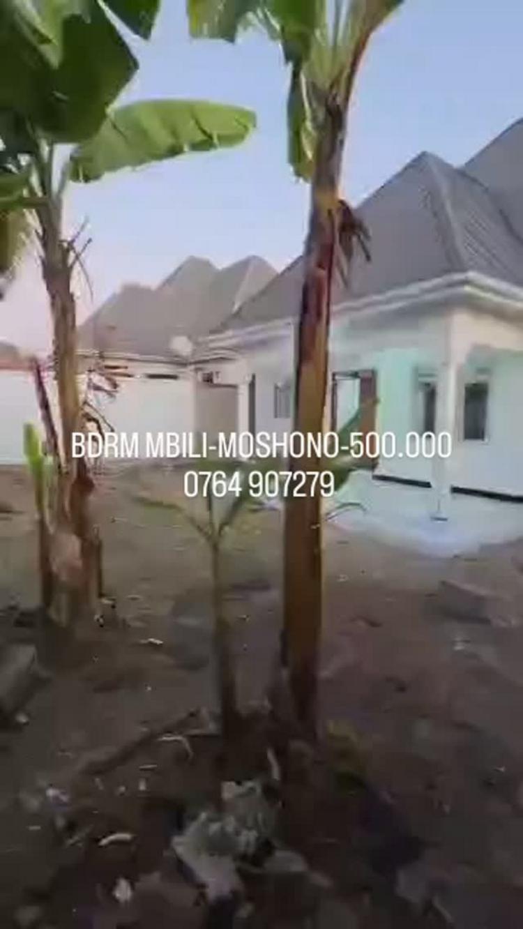 media -1 media -1