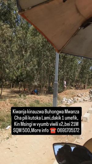 Kiwanja kinauzwa Buhongwa, Mwanza sqm 500 Kiwanja kinauzwa Buhongwa, Mwanza sqm 500