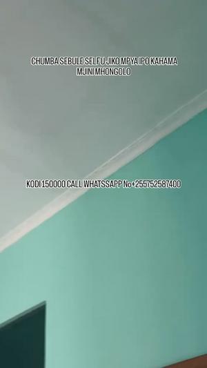 1 Bedroom House for Rent in Mhongolo, Shinyanga 1 Bedroom House for Rent in Mhongolo, Shinyanga