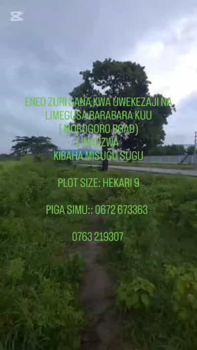 Kiwanja (Commercial Plot) kinauzwa Kibaha Misugusugu, Pwani (9 acre)