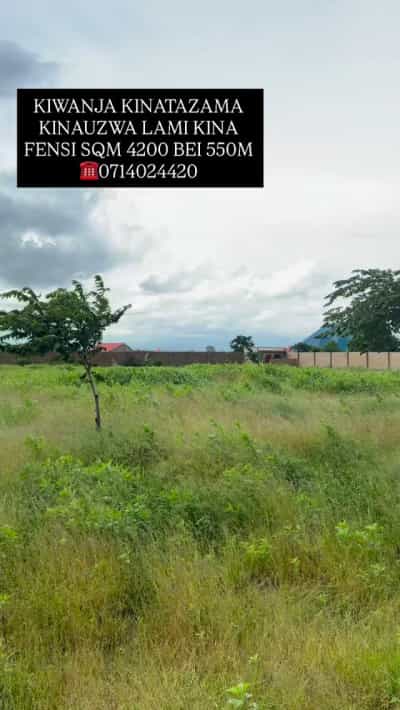 Plot for sale in Msalato, Dodoma Plot for sale in Msalato, Dodoma